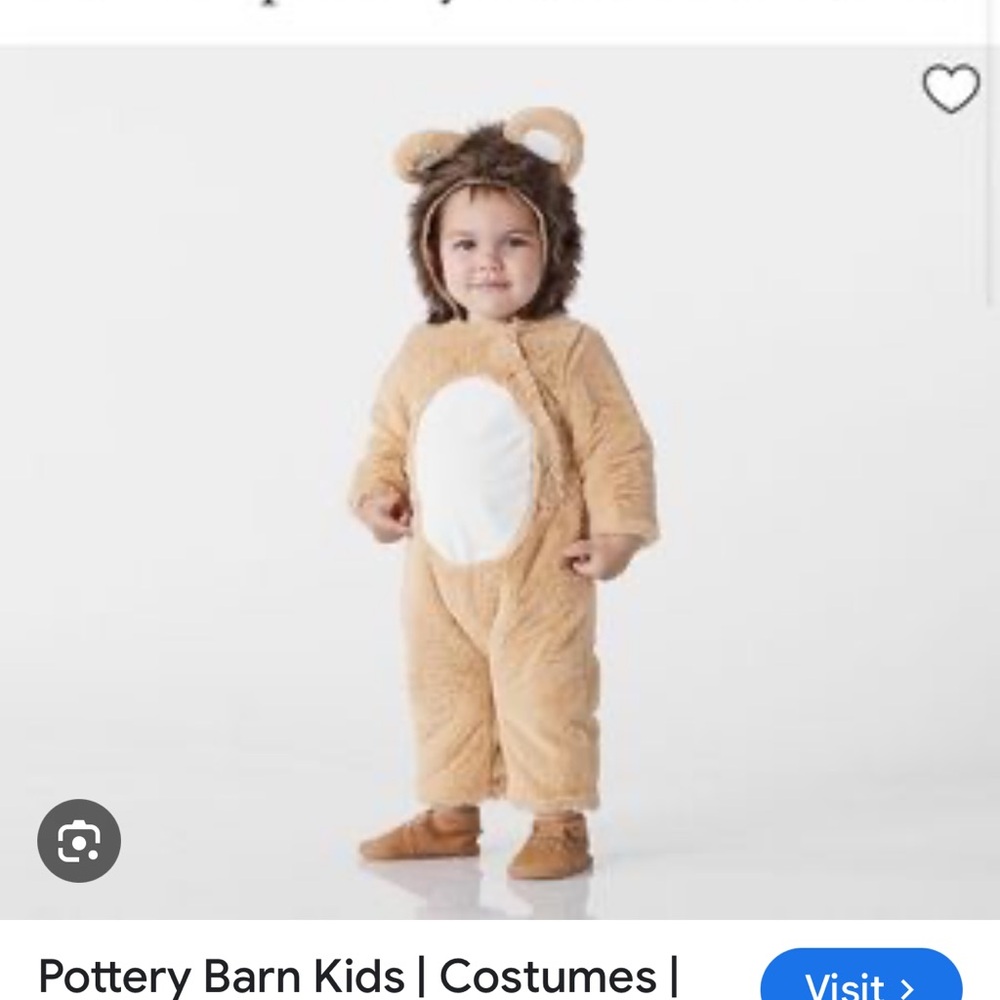 Lion baby costume